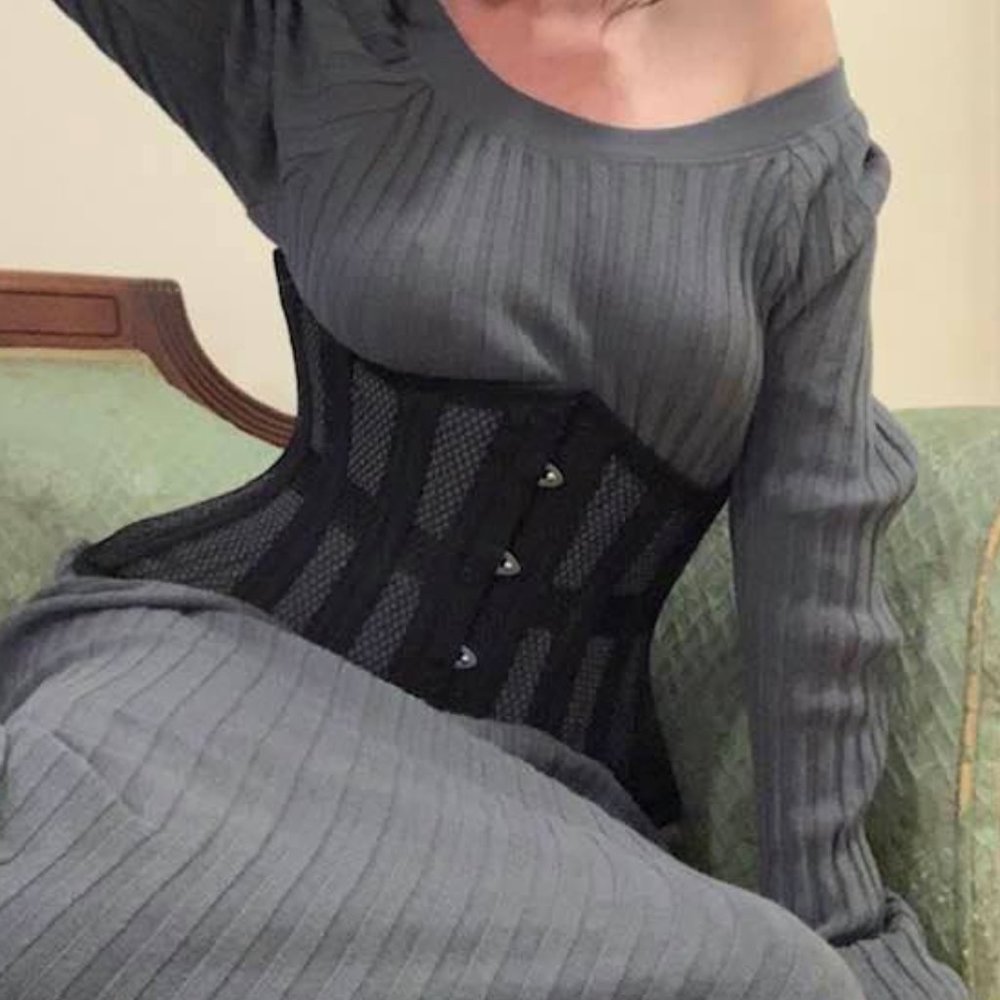Brand new gorgeous mesh corset in black. Size 26.